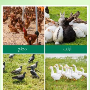 قفص الصيد طيور